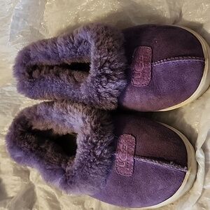 UGGS SNEAKERS SLIPPERS
